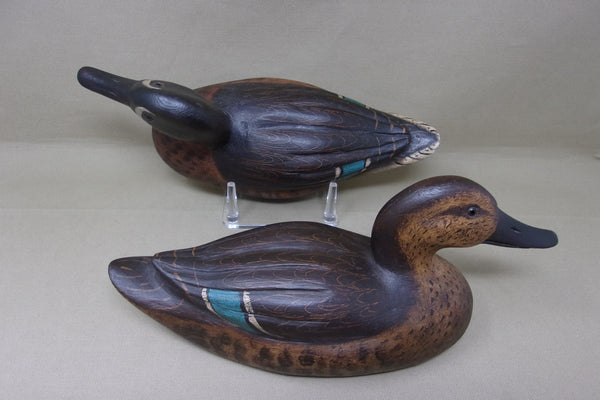 Dennis Edwards Pair of Blue Wing Teal (#4700)