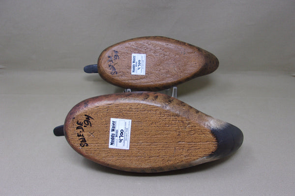 Dennis Edwards Pair of Blue Wing Teal (#4700)