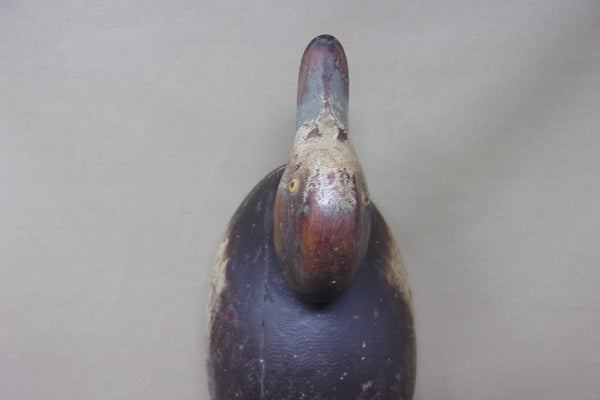 Mason Premier Redhead Hen, Branded (#4720)