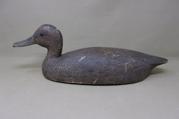 Cliff Avann Blackduck, Toronto Circa 1940's (#4722)