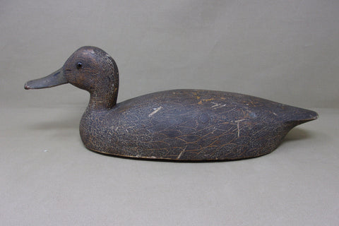 Cliff Avann Blackduck, Toronto Circa 1940's (#4722)