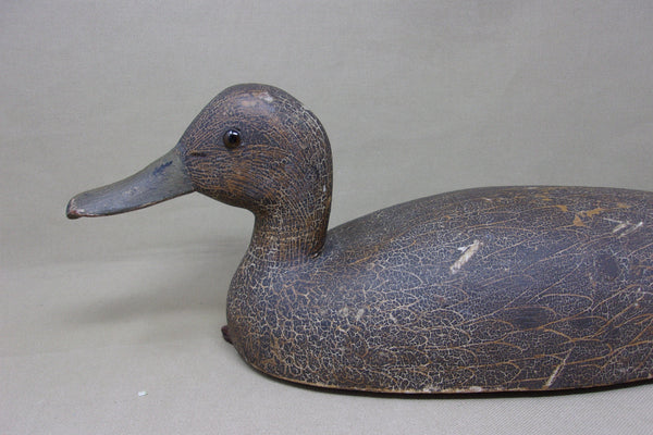 Cliff Avann Blackduck, Toronto Circa 1940's (#4722)