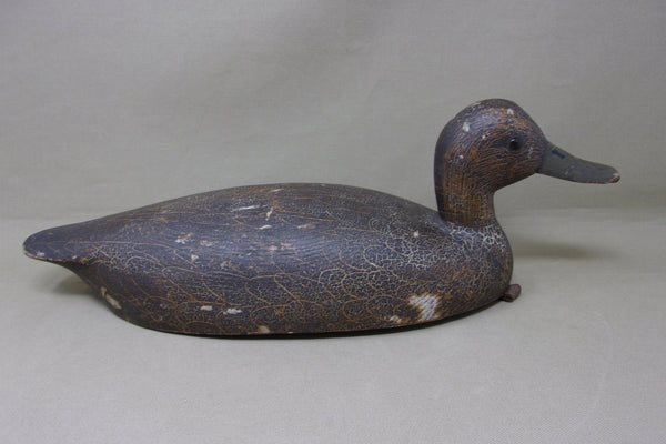 Cliff Avann Blackduck, Toronto Circa 1940's (#4722)