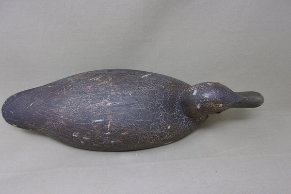 Cliff Avann Blackduck, Toronto Circa 1940's (#4722)