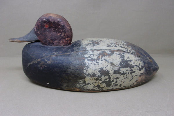 Michigan Red Head Drake, Circa 1920's (#4726)