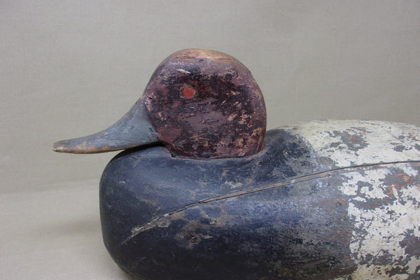 Michigan Red Head Drake, Circa 1920's (#4726)