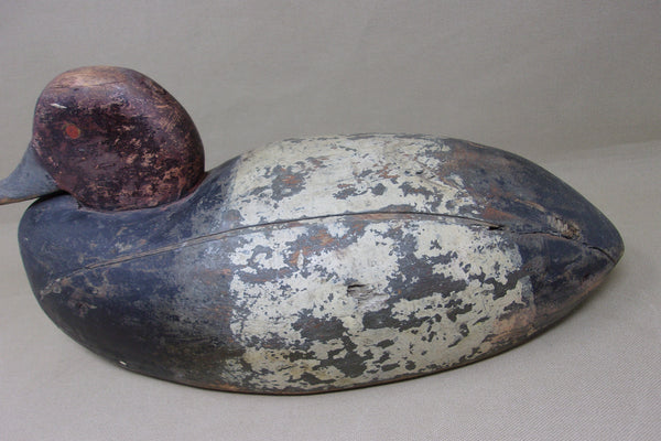 Michigan Red Head Drake, Circa 1920's (#4726)