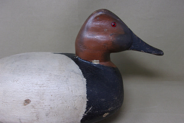 Ralph Johnson Canvasback Drake All Original, 1940's (#4728)