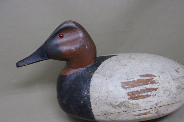 Ralph Johnson Canvasback Drake All Original, 1940's (#4728)