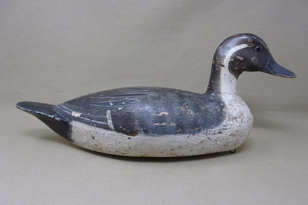 Heck Whittington Pintail Drake, Henry Holmes Paint, 1920's (#4729)