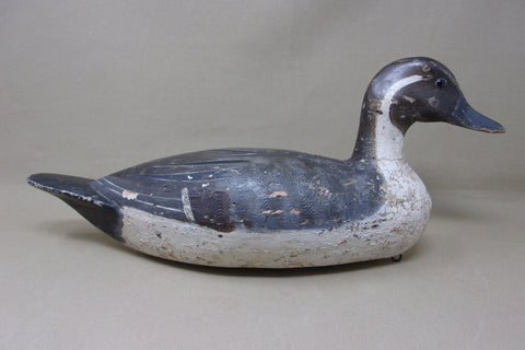 Heck Whittington Pintail Drake, Henry Holmes Paint, 1920's (#4729)