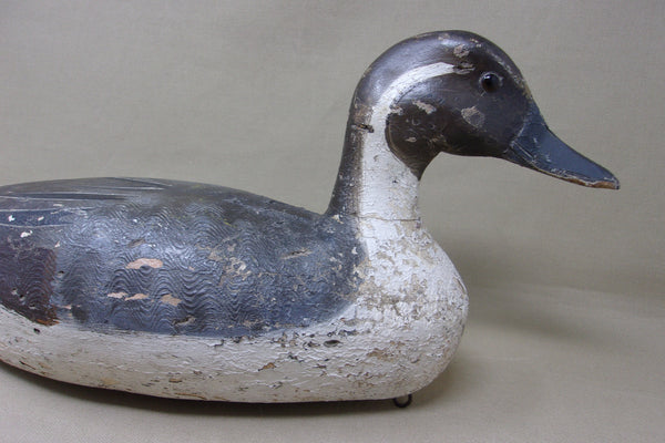 Heck Whittington Pintail Drake, Henry Holmes Paint, 1920's (#4729)