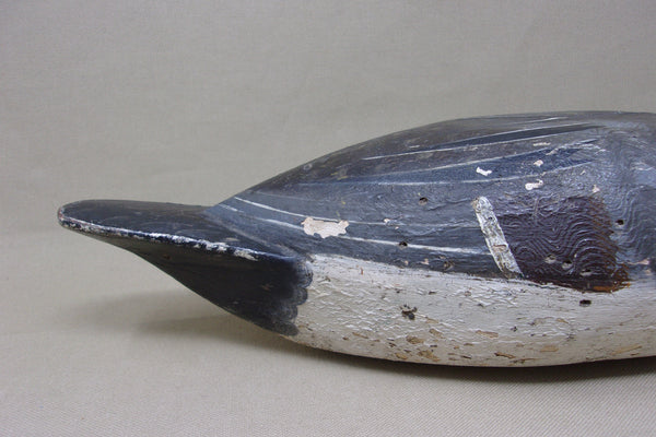 Heck Whittington Pintail Drake, Henry Holmes Paint, 1920's (#4729)