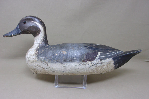 Heck Whittington Pintail Drake, Henry Holmes Paint, 1920's (#4729)
