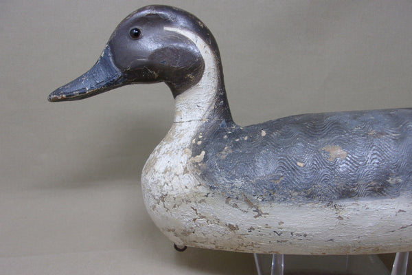 Heck Whittington Pintail Drake, Henry Holmes Paint, 1920's (#4729)