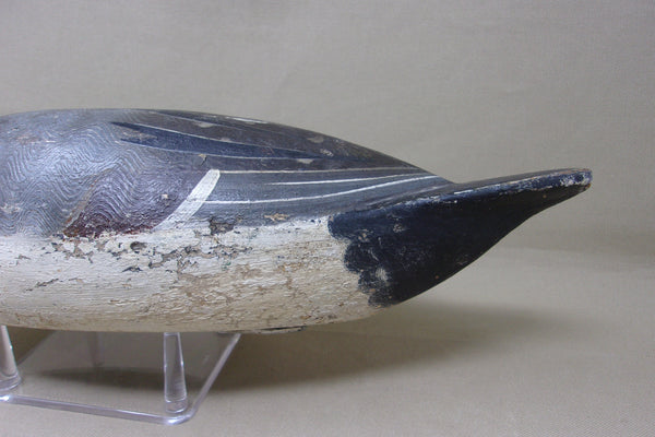 Heck Whittington Pintail Drake, Henry Holmes Paint, 1920's (#4729)