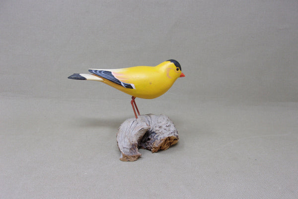 H. V. Shourds Yellow Songbird (#4732)