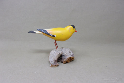 H. V. Shourds Yellow Songbird (#4732)