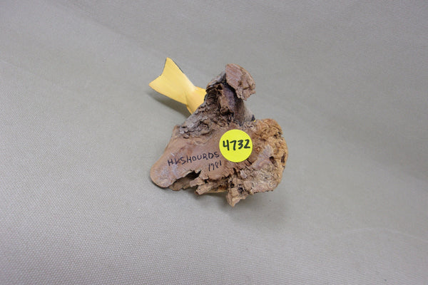 H. V. Shourds Yellow Songbird (#4732)