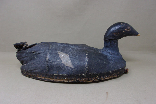 Canvas over Wire White Wing Scoter, Circa 1900's (#4738)