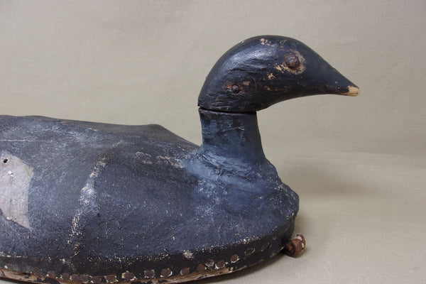 Canvas over Wire White Wing Scoter, Circa 1900's (#4738)