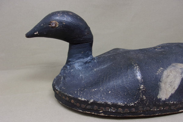 Canvas over Wire White Wing Scoter, Circa 1900's (#4738)
