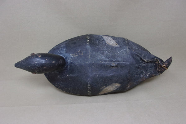 Canvas over Wire White Wing Scoter, Circa 1900's (#4738)