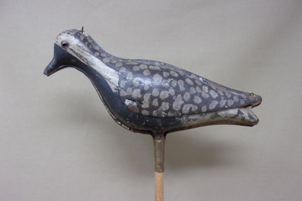 Tinnie Shorebird Strater & Sohier  (#4739)