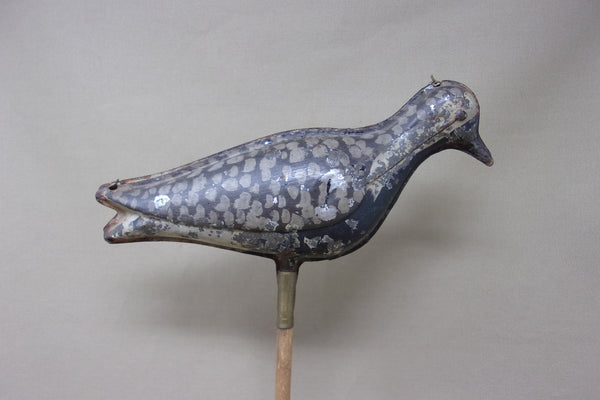 Tinnie Shorebird Strater & Sohier  (#4739)