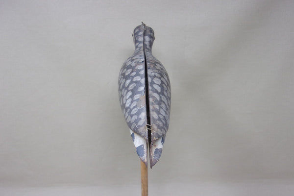 Tinnie Shorebird Strater & Sohier  (#4739)