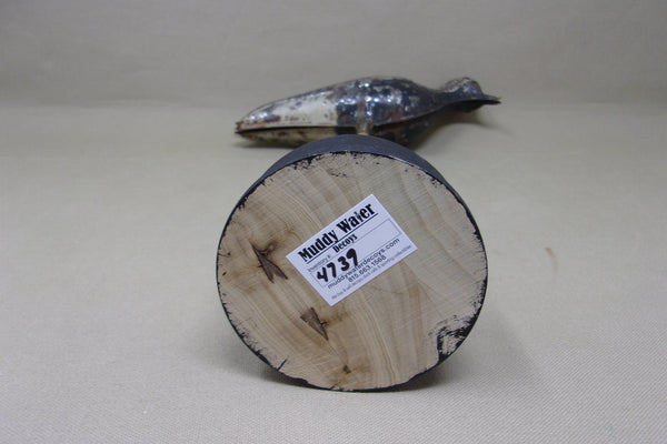 Tinnie Shorebird Strater & Sohier  (#4739)