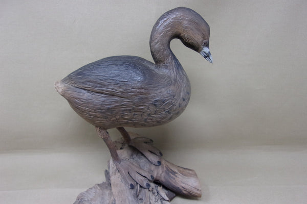 Herman Bennett Standing Grebe (#4743)