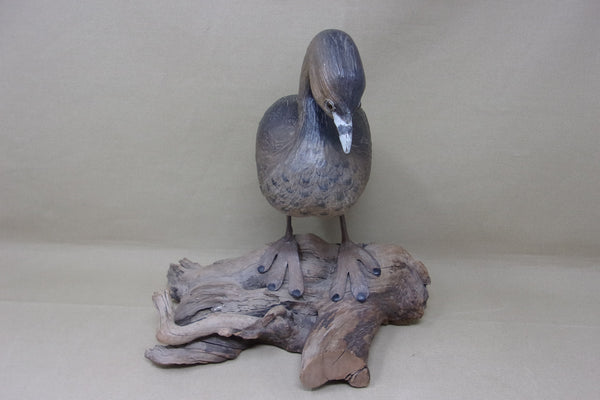 Herman Bennett Standing Grebe (#4743)