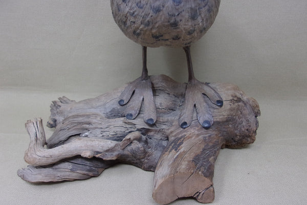 Herman Bennett Standing Grebe (#4743)