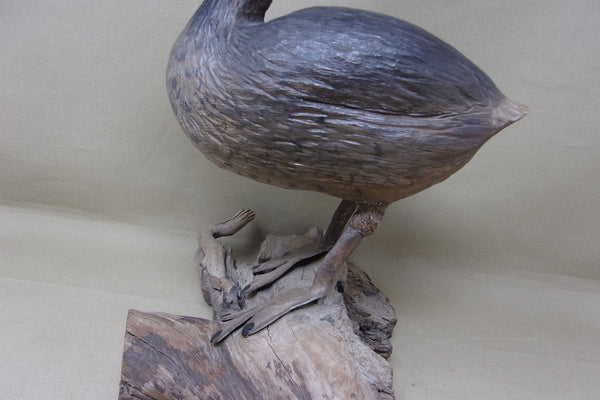 Herman Bennett Standing Grebe (#4743)