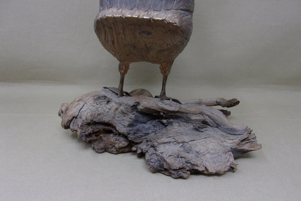 Herman Bennett Standing Grebe (#4743)