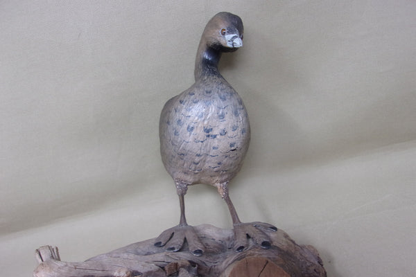 Herman Bennett Standing Grebe (#4743)