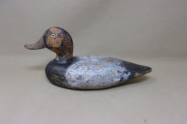 Illinois River Blue Bill Drake, Circa 1930's (#4763)