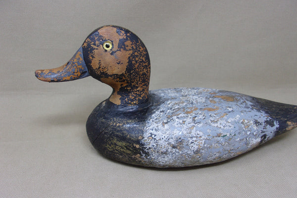 Illinois River Blue Bill Drake, Circa 1930's (#4763)