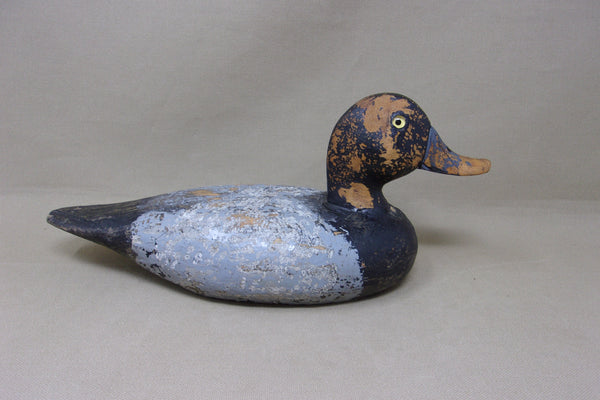 Illinois River Blue Bill Drake, Circa 1930's (#4763)