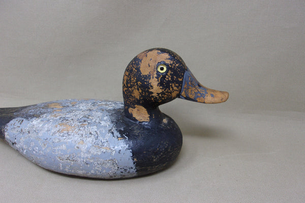 Illinois River Blue Bill Drake, Circa 1930's (#4763)