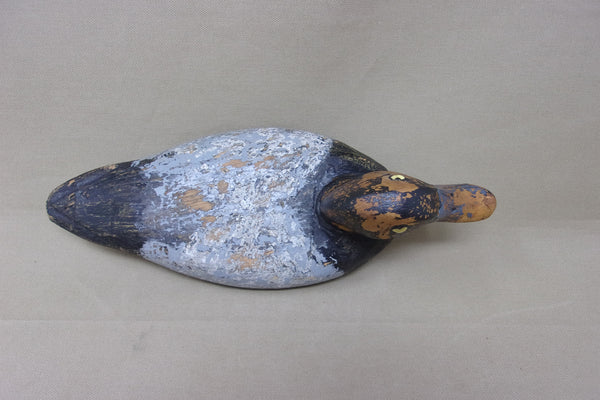 Illinois River Blue Bill Drake, Circa 1930's (#4763)