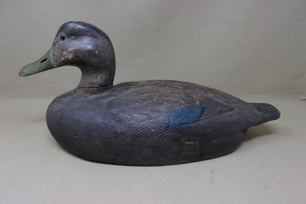 Michigan Black Duck, Circa 1930's (#4770)