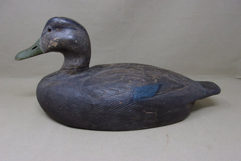 Michigan Black Duck, Circa 1930's (#4770)