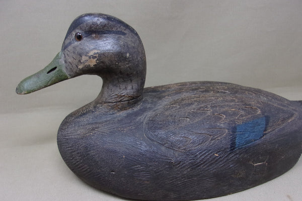 Michigan Black Duck, Circa 1930's (#4770)