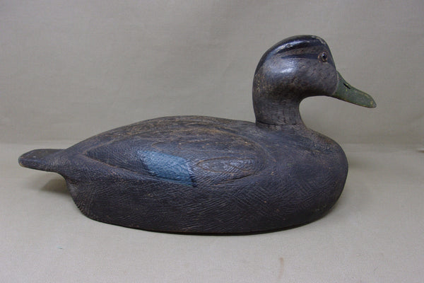 Michigan Black Duck, Circa 1930's (#4770)