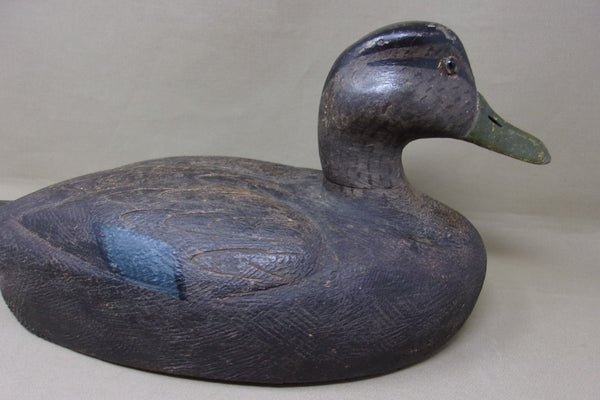 Michigan Black Duck, Circa 1930's (#4770)