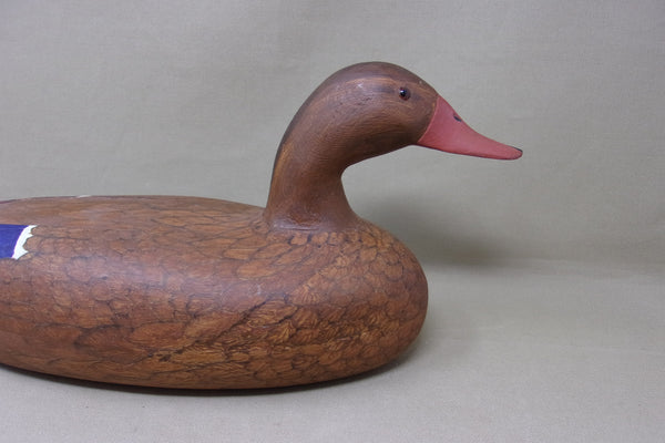 Mallard Hen, Goose Podowich (#4776)