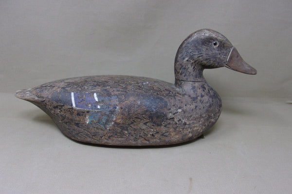 Illinois River Mallard Hen, Circa 1920's (#4788)