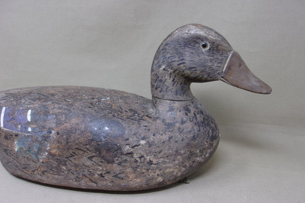 Illinois River Mallard Hen, Circa 1920's (#4788)